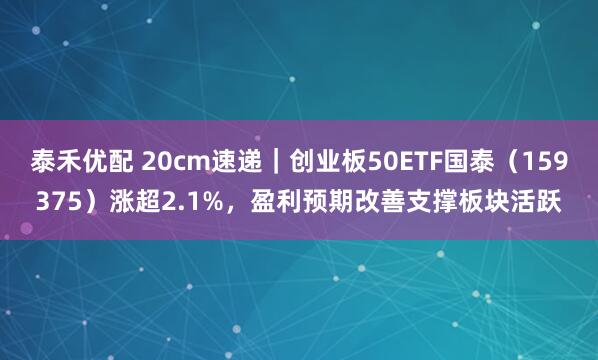 泰禾优配 20cm速递｜创业板50ETF国泰（159375）涨超2.1%，盈利预期改善支撑板块活跃
