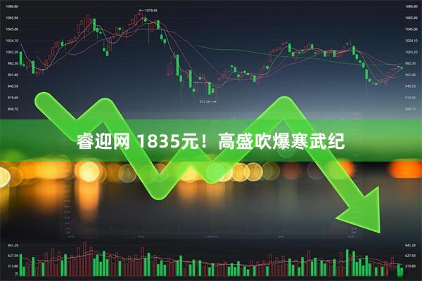 睿迎网 1835元！高盛吹爆寒武纪