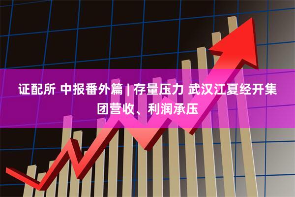 证配所 中报番外篇 | 存量压力 武汉江夏经开集团营收、利润承压